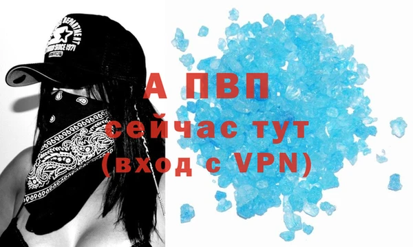 дживик Пестово