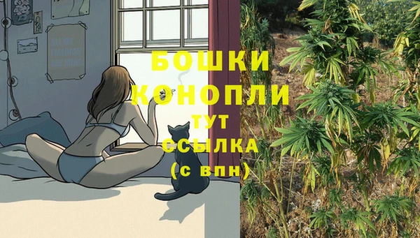 прущие крисы Белокуриха