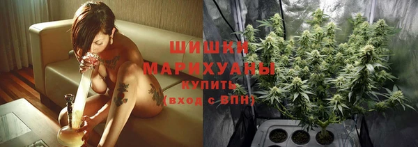 молекула духа Осинники