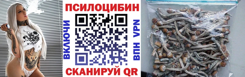 Галлюциногенные грибы Psilocybe  нарко площадка Telegram  Сатка 